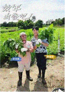 深夜书桌条目详情示意画面